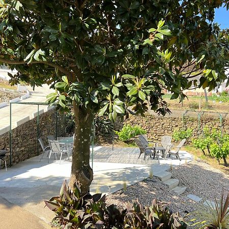 Villa Samaritana - Casa Da Vinha Vila Marim Bagian luar foto